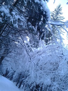20130123_145224